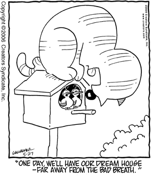 heathcliff